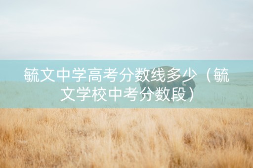 毓文中学高考分数线多少（毓文学校中考分数段）