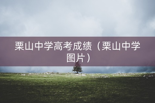 栗山中学高考成绩（栗山中学图片）