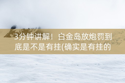 3分钟讲解！白金岛放炮罚到底是不是有挂(确实是有挂的)