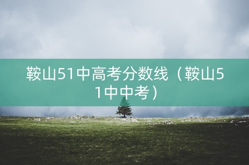 鞍山51中高考分数线（鞍山51中中考）