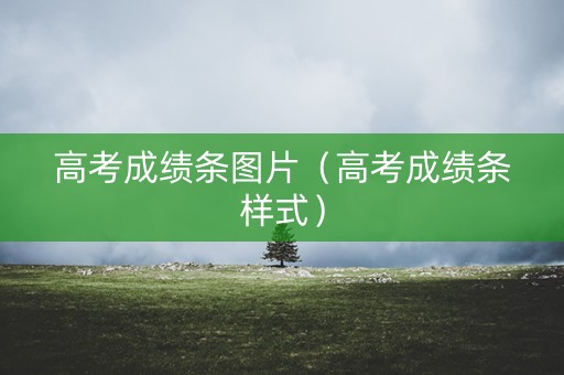 高考成绩条图片（高考成绩条样式）
