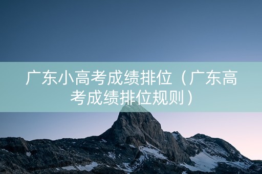 广东小高考成绩排位（广东高考成绩排位规则）