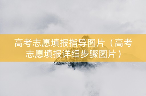 高考志愿填报指导图片（高考志愿填报详细步骤图片）