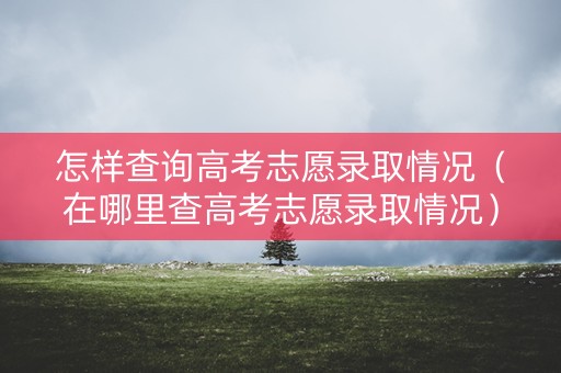 怎样查询高考志愿录取情况（在哪里查高考志愿录取情况）