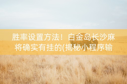 胜率设置方法！白金岛长沙麻将确实有挂的(揭秘小程序输赢规律)