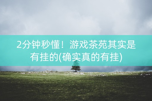 2分钟秒懂！游戏茶苑其实是有挂的(确实真的有挂)
