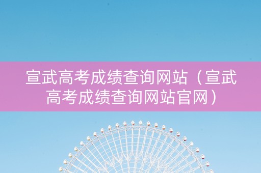宣武高考成绩查询网站（宣武高考成绩查询网站官网）