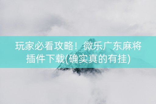玩家必看攻略！微乐广东麻将插件下载(确实真的有挂)