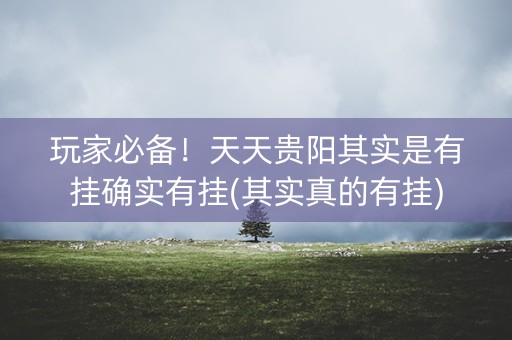 玩家必备！天天贵阳其实是有挂确实有挂(其实真的有挂)