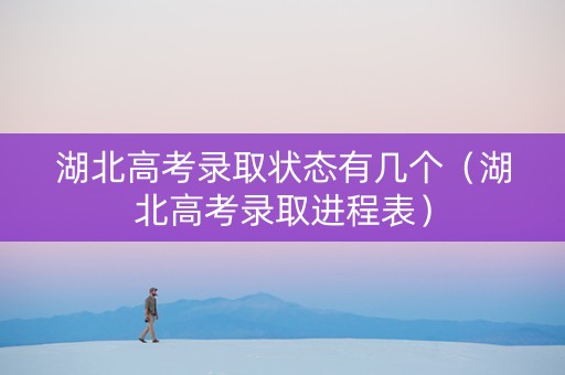 湖北高考录取状态有几个（湖北高考录取进程表）