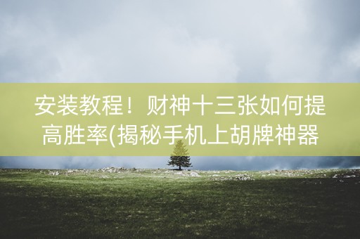安装教程！财神十三张如何提高胜率(揭秘手机上胡牌神器)