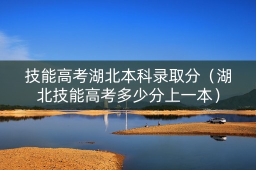 技能高考湖北本科录取分（湖北技能高考多少分上一本）