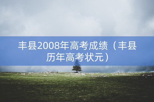 丰县2008年高考成绩（丰县历年高考状元）