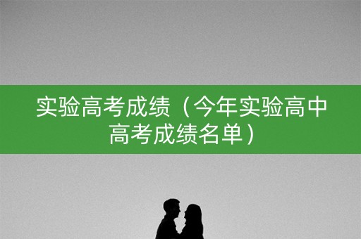 实验高考成绩（今年实验高中高考成绩名单）