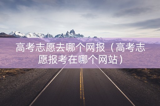高考志愿去哪个网报（高考志愿报考在哪个网站）