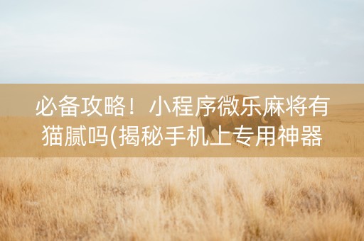 必备攻略！小程序微乐麻将有猫腻吗(揭秘手机上专用神器)