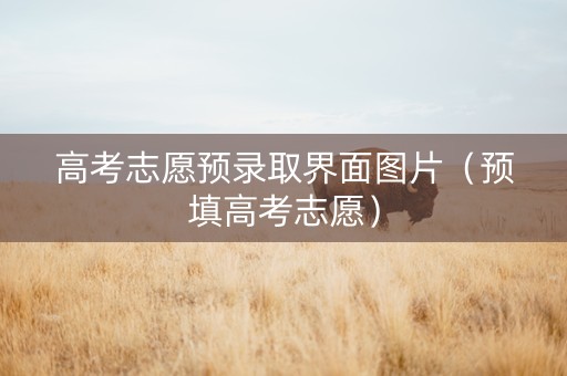 高考志愿预录取界面图片（预填高考志愿）