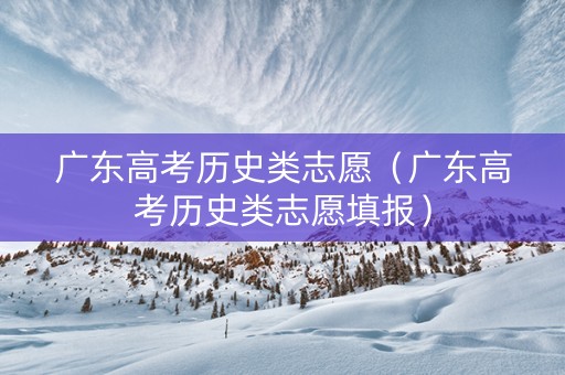 广东高考历史类志愿（广东高考历史类志愿填报）