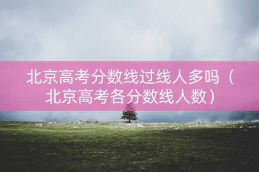 北京高考分数线过线人多吗（北京高考各分数线人数）
