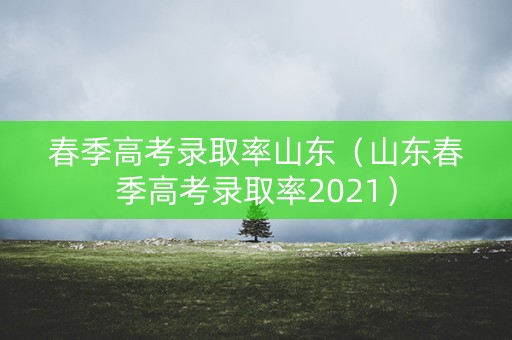 春季高考录取率山东（山东春季高考录取率2021）