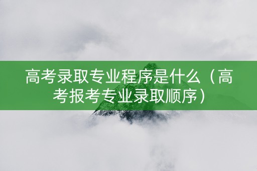 高考录取专业程序是什么（高考报考专业录取顺序）