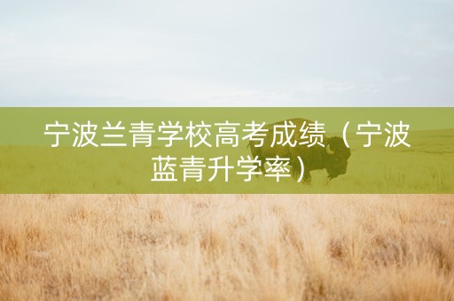 宁波兰青学校高考成绩（宁波蓝青升学率）