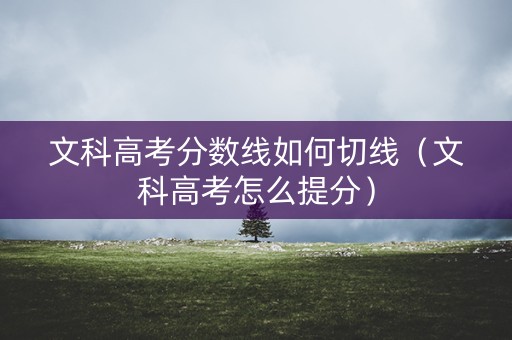 文科高考分数线如何切线（文科高考怎么提分）