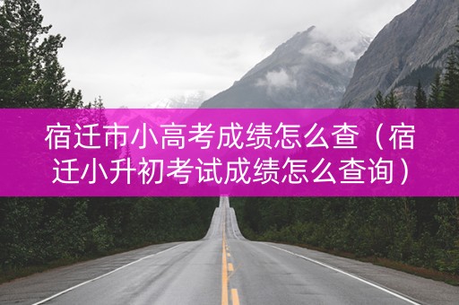 宿迁市小高考成绩怎么查（宿迁小升初考试成绩怎么查询）