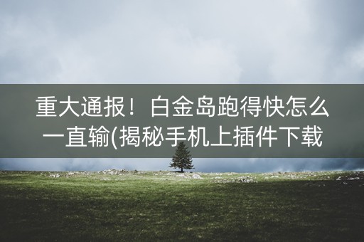 重大通报！白金岛跑得快怎么一直输(揭秘手机上插件下载)