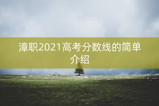 漳职2021高考分数线的简单介绍