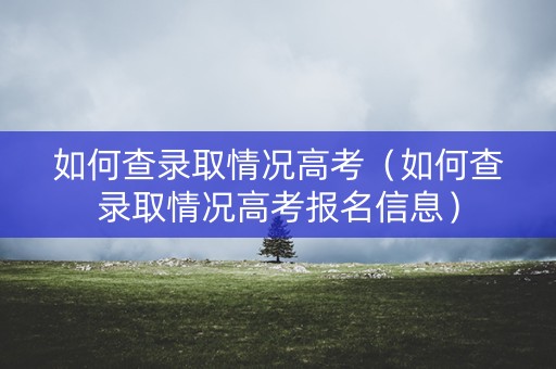 如何查录取情况高考（如何查录取情况高考报名信息）