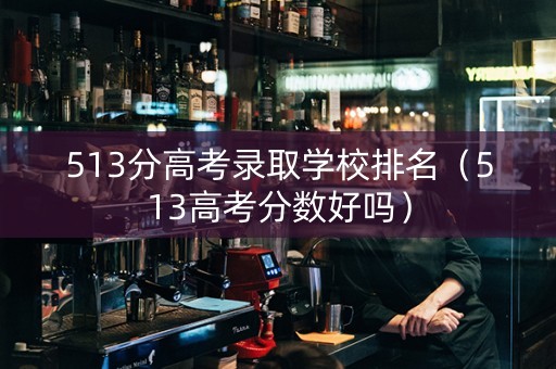 513分高考录取学校排名（513高考分数好吗）