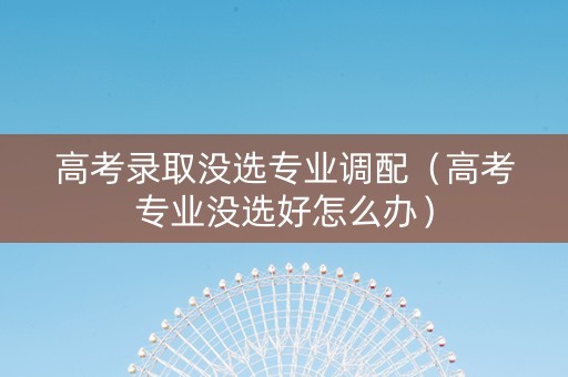 高考录取没选专业调配（高考专业没选好怎么办）