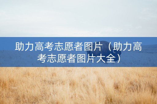 助力高考志愿者图片（助力高考志愿者图片大全）