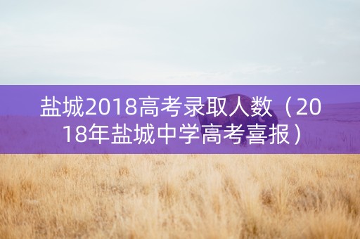 盐城2018高考录取人数（2018年盐城中学高考喜报）