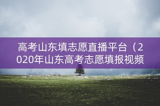 高考山东填志愿直播平台（2020年山东高考志愿填报视频讲座）