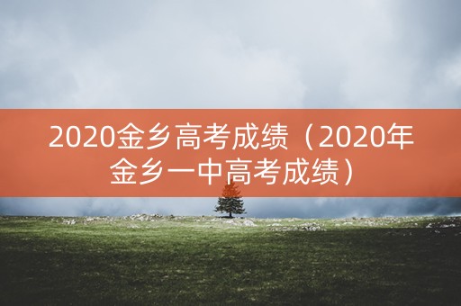 2020金乡高考成绩（2020年金乡一中高考成绩）