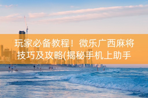 玩家必备教程！微乐广西麻将技巧及攻略(揭秘手机上助手软件)