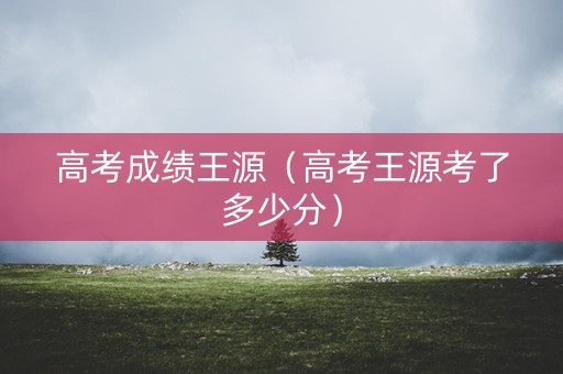高考成绩王源（高考王源考了多少分）