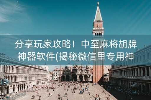 分享玩家攻略！中至麻将胡牌神器软件(揭秘微信里专用神器)