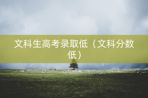 文科生高考录取低（文科分数低）