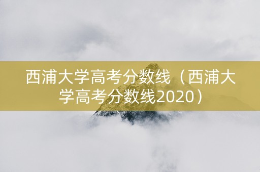 西浦大学高考分数线（西浦大学高考分数线2020）