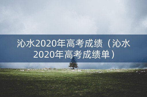 沁水2020年高考成绩（沁水2020年高考成绩单）