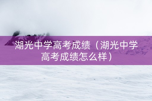 湖光中学高考成绩（湖光中学高考成绩怎么样）