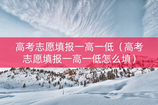 高考志愿填报一高一低（高考志愿填报一高一低怎么填）