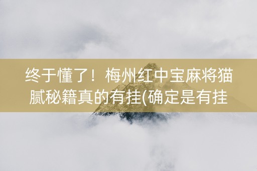 终于懂了！梅州红中宝麻将猫腻秘籍真的有挂(确定是有挂)