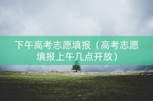 下午高考志愿填报（高考志愿填报上午几点开放）