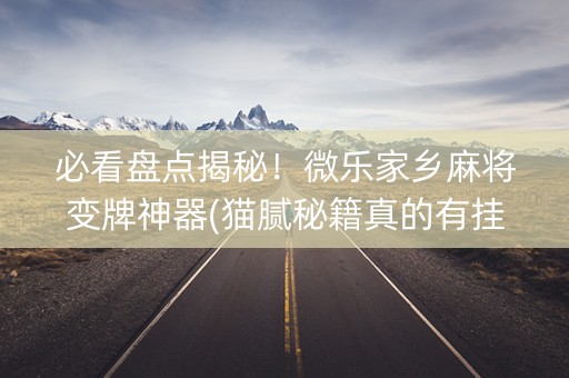 必看盘点揭秘！微乐家乡麻将变牌神器(猫腻秘籍真的有挂)