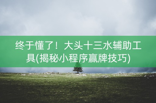 终于懂了！大头十三水辅助工具(揭秘小程序赢牌技巧)