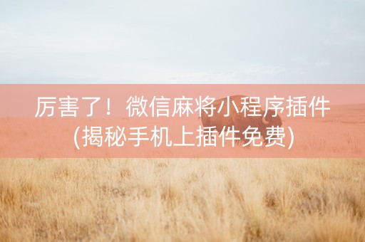 厉害了！微信麻将小程序插件(揭秘手机上插件免费)
